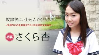 さくら杏　放課後に、仕込んでください ～気持ちいのをおぼえちゃったほぼ処女優等生～