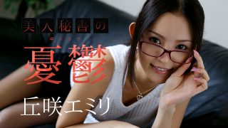 丘咲エミリ　美人秘書の憂鬱