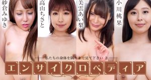 セクシー女優エンサイクロペディア　～私たちの身体を隅々まで見て下さい2～