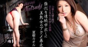 好色妻降臨10～前編～ 夏樹カオル