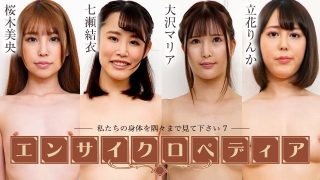 セクシー女優エンサイクロペディア 〜私たちの身体を隅々まで見て下さい7〜 桜木美央 七瀬結衣 大沢マリア 立花りんか