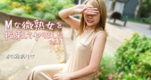 Mな微熟女を拘束してヤりました Vol.2 村瀬ありさ