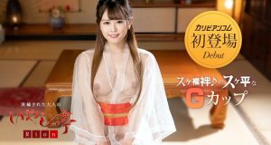 洗練された大人のいやし亭 〜まだダメですよ、お部屋に戻ってからしましょう〜 りおん